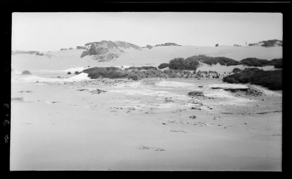 Old middens at old pa-site, near mouth of Waikawa River