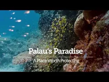 Palau's Paradise; Ocean Wonders Worth Protecting Image: Palau's Paradise; Ocean Wonders Worth Protecting