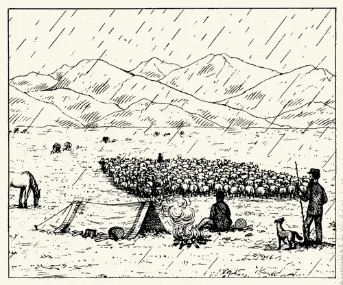 Sheep farmer’s camp, 1874
