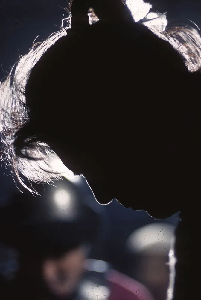 Japan Series: Movie Industries