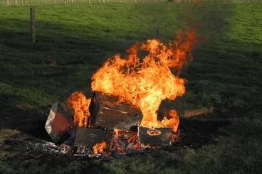 Image: Burning an infected hive