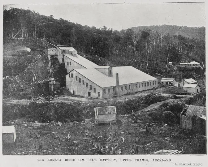The Komata Reefs G M Co.'s battery, upper Thames, Auckland