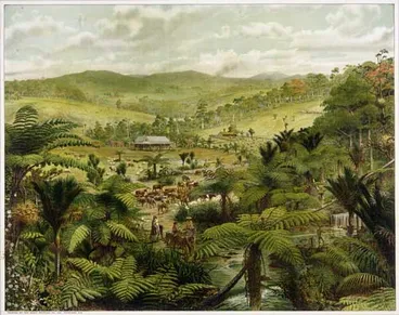 Image: North Island sheep and cattle farming