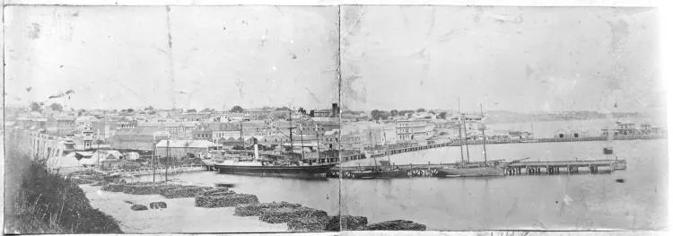 Commercial Bay from Point Britomart