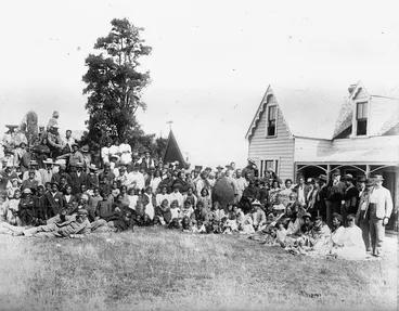 Image: Papawai pa, Greytown