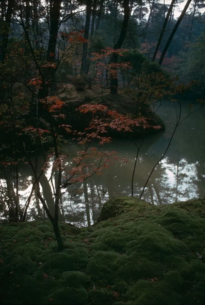 Japan series: Kokedera