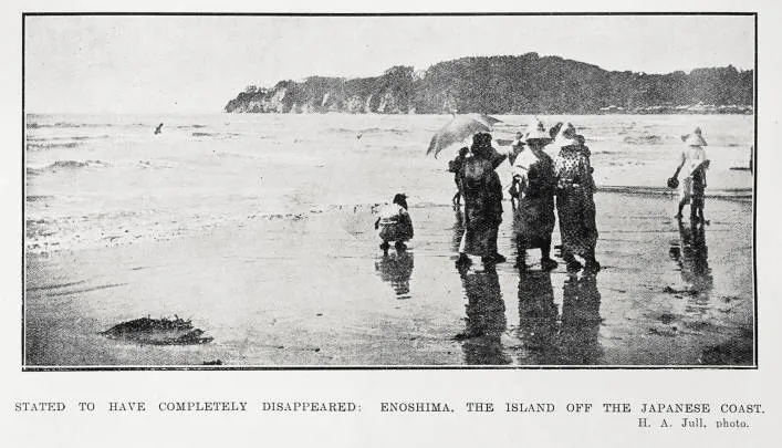 Stated To Have Completely Disappeared