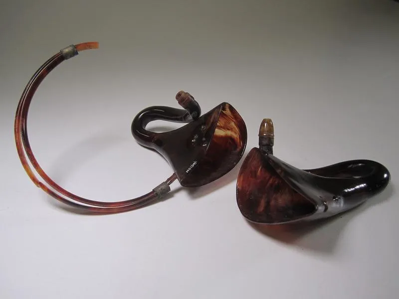 Hearing aids or earhorns pair