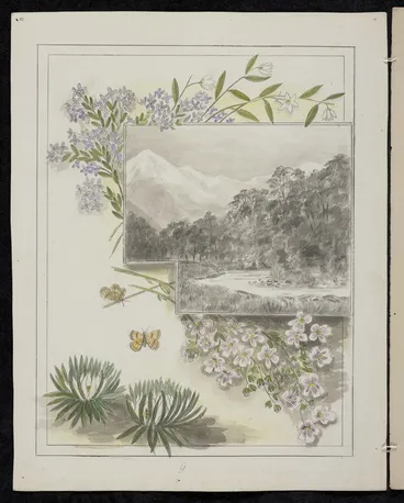 Image: Harris, Emily Cumming, 1837-1925: Callixene parviflora. Veronica. Euphasia cuneata. Celmisia laricifolia. [1890-1896].
