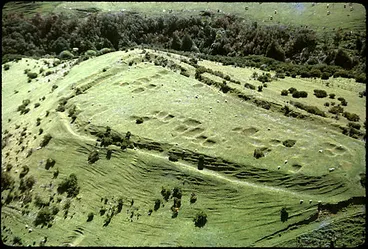 Image: Waiharoto pā, Hāwera