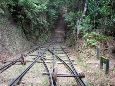 Image: Waiorongomai tramway