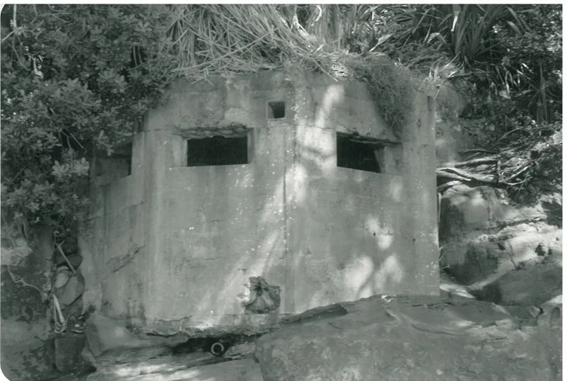 Gun emplacement on the eastern end of Howick Beach