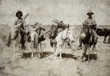 Image: Sinai & Palestine