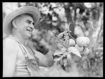 Image: Unidentified man holding up branch with citrus fruit, Norfolk Island