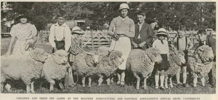 Children and their pet lambs at the Malvern Agricultural and Pastoral Association's annual show, Canterbury