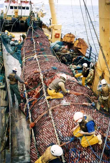 A trawler’s catch Image: A trawler’s catch