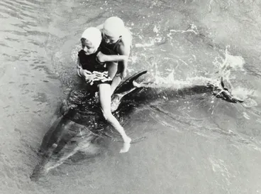 Image: Opo the dolphin, Opononi