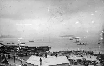Wellington Harbour with convoy : digital image