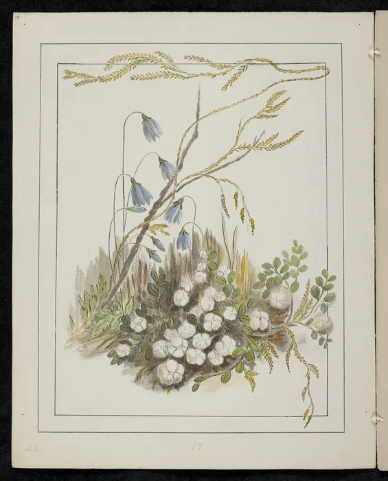Harris, Emily Cumming, 1837-1925: Gaultheria antipoda - Snowberry. Small flowers. [1890-1896].