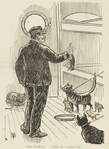 Cats in captivity Image: Cats in captivity