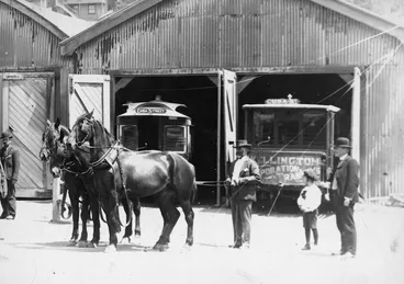Image: Creator unknown: Photograph of horses outside the Adelaide Road Depot, Wellington