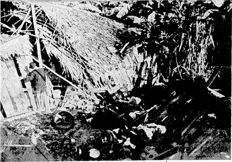A Chinese building a temporary shelter after a Japanese bomb has blasted his house outside Singapore. In the foreground his womenfolk sort out their scattered clothes. (Evening Post, 06 February 1942)