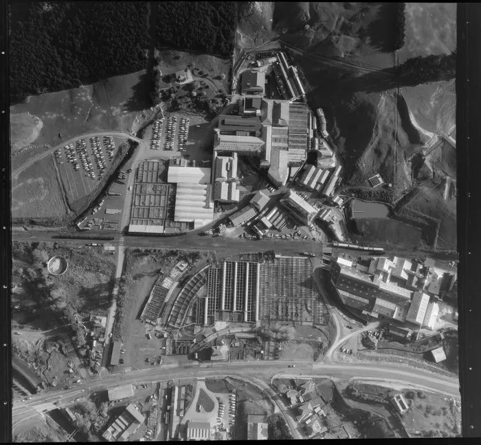 Burnside Freezing Works, Dunedin