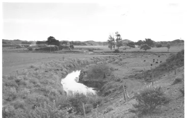 Image: Hokio Stream, looking west downstream, 1977