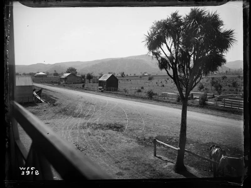 Trip to Te Karaka, January 1903.