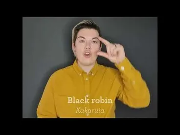 Image: New Zealand sign language - black robin