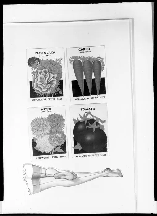 Illustration of legs in pantyhose & Woolworths seed packets