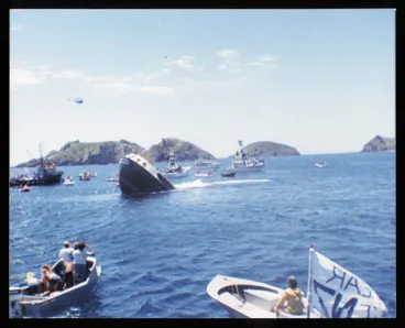 Image: Sinking of the Rainbow Warrior