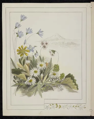 Image: Harris, Emily Cumming, 1837-1925: Flowers from Mount Egmont. 1. Ranunculus pinguis. 2. Fostera [sic] tenella. 3. Celmisia longifolia. 4. Wahlenbergia gracilis. 5. Lobelia. [189-?].