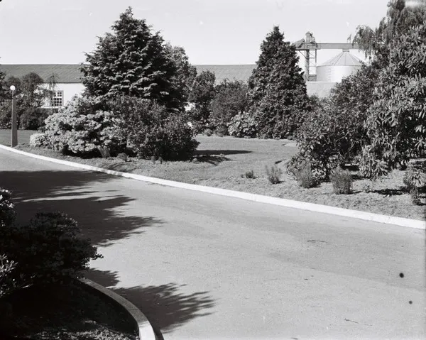 Sanitarium Factory and Gardens