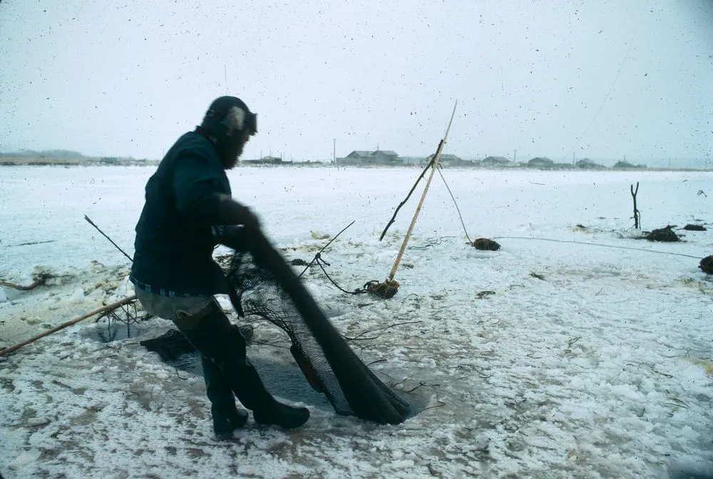 Japan Series: Fisherman