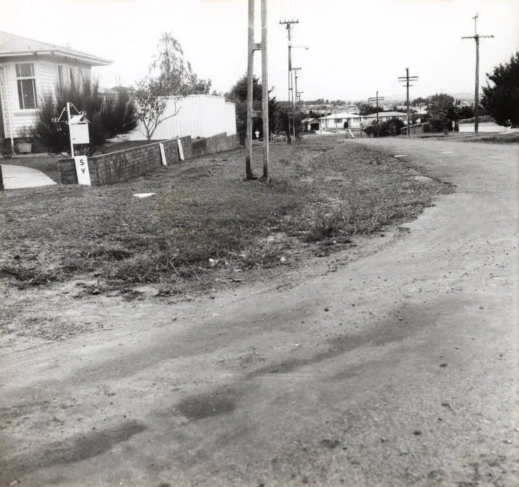 Neglected street, Manurewa, 1970