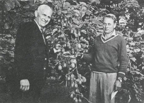 Grahame Bayliss’s Hayward crop