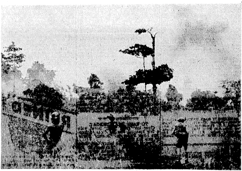 Smoke rising from Japanese-held strongpoints in New Guinea following bombing by Allied aircraft, So close together were the lines of the Australians and the Jqpanese that bombs had to be released whilst the planes wen still a few hundred yards behind 'the Australian front lines. (Evening Post, 31 December 1942)