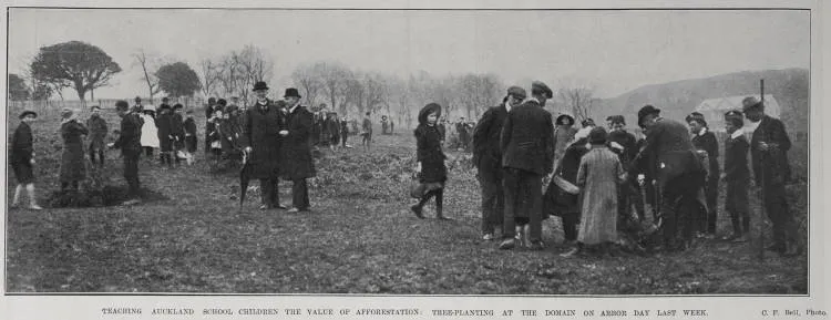 Teaching Auckland School Children The Value Of Afforestation
