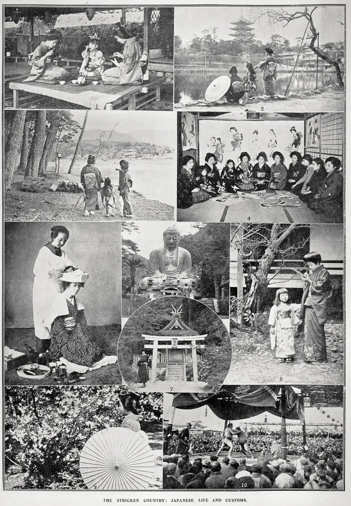 The Stricken Country