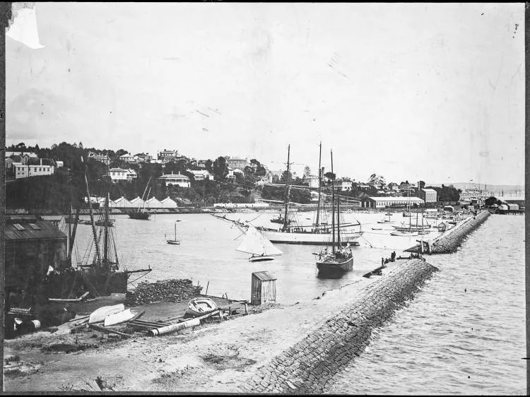 Mechanics Bay and Official Bay from Barnabas Point