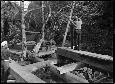 Image: Pitsawing at Anawhata - Photograph taken by Albert Percy Godber