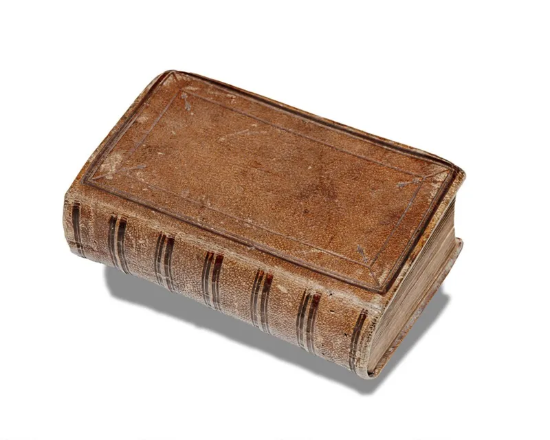 Family Bible Belonging to Emily White - 1873 Voyage