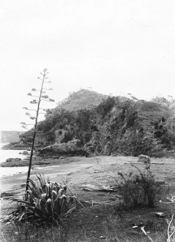 Rangihoua, Bay of Islands
