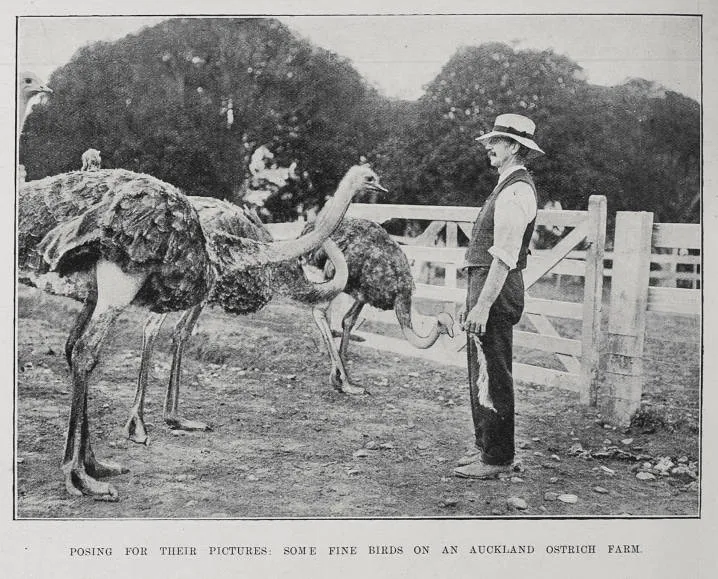 Posing for their pictures