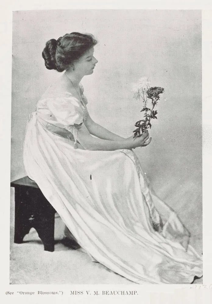 Miss V. M. Beauchamp
