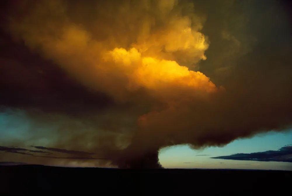Burning forest, Taupo