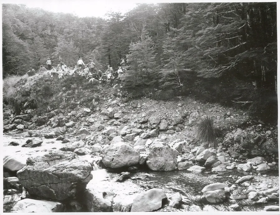 Arthurs Pass National Park - Nature Study