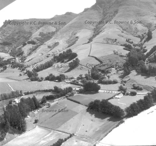 Allandale near Governors Bay. The poplar trees ... (4725/4781)
