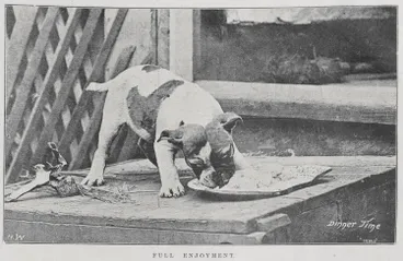 Image: His Christmas Dinner. Full enjoyment